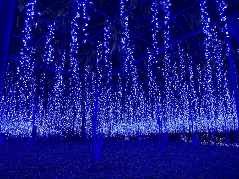 ashikaga-5